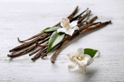 Vanilla Exfoliating Body Scrub