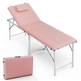 Portable Tattoo Chair Table with Storage Bag, Foldable Spa Bed for Client 2-Section Folding (Color: As Picture)